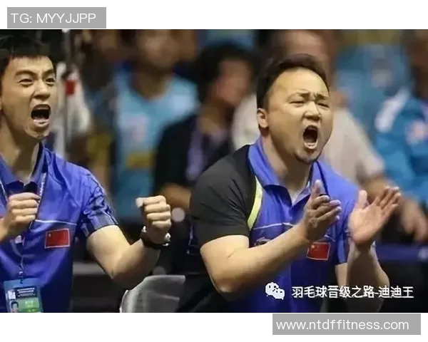 对话刘丽：回顾羽毛球生涯的辉煌与挑战之路